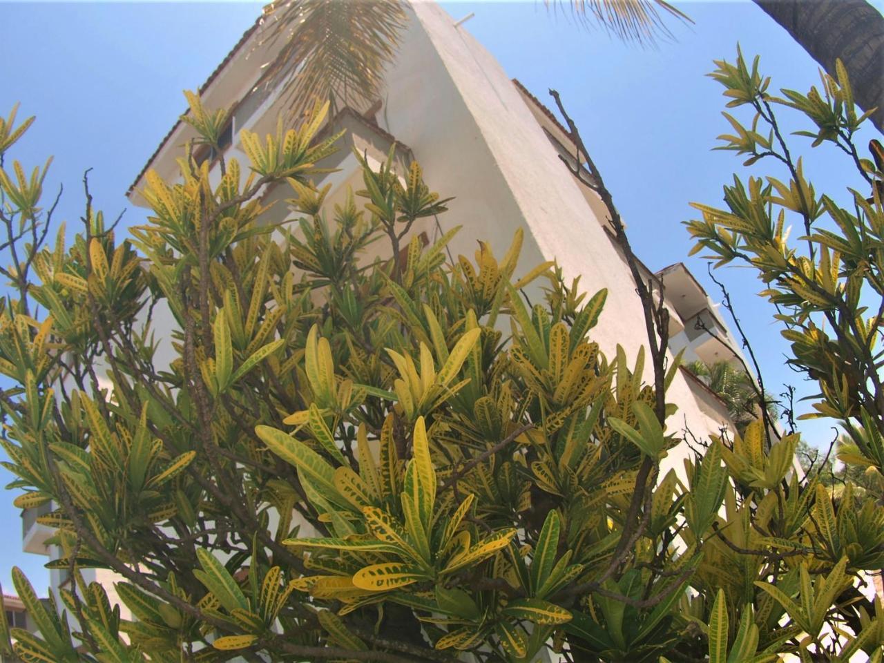 Suites Las Palmas Hotel Y Villas Manzanillo Luaran gambar